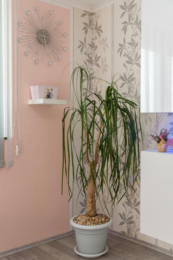 Apartment Danijela II Šibenik Eksteriør billede